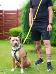 BullyBillows Double-Ended Dog Training Lead