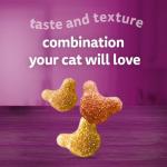 Whiskas Crunchy Cat Treats - Pack of 6