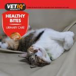 VetIQ Urinary Care Treats for Cats & Kittens
