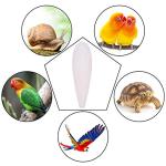 Natural Cuttlefish Bone Chew Toys for Birds