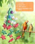 Fun Foraging Bird Toys for Small Parrots