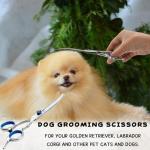 Stainless Steel Pet Grooming Scissors Set