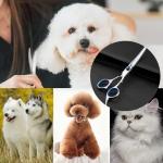 Stainless Steel Pet Grooming Scissors Set