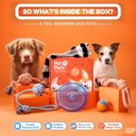 Durable Dog Toy Set for Puppies and Small Dogs