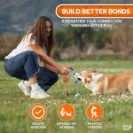 Durable Dog Toy Set for Puppies and Small Dogs
