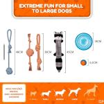 Durable Dog Toy Set for Puppies and Small Dogs