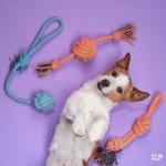 Durable Dog Toy Set for Puppies and Small Dogs