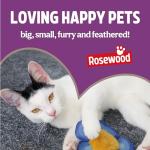 Rosewood Cheese Crunchy Cat Treats with Taurine