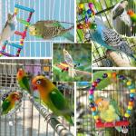 Wooden Swing Ladders & Chew Toys for Birds