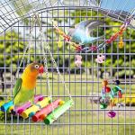 Wooden Swing Ladders & Chew Toys for Birds