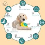 Interactive Puzzle Toy for Dogs of All Sizes