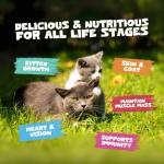 Pure Chicken Freeze-Dried Cat Treats, High Protein