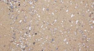 25KG Bird Cage Sand with Oystershell and Minerals