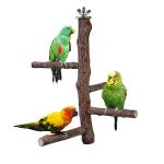 Natural Wood Bird Perch Stand for Parrots