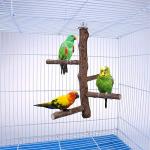 Natural Wood Bird Perch Stand for Parrots