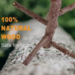 Natural Wood Bird Perch Stand for Parrots