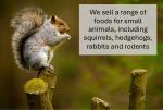 Premium Mixed Food for Rats, Gerbils, and Mice