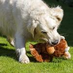 Petface Hetty the Highland Cow Plush Toy
