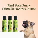 Long-Lasting Dog Perfume Spray - Keep Your Pup Fresh