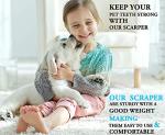 ZOVIRA Double-Headed Dental Plaque Remover Kit
