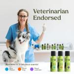 Long-Lasting Dog Perfume Spray - Keep Your Pup Fresh