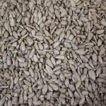 Trusty Wild Bird Sunflower Hearts 5kg