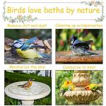 Hanging Bird Bath Tub with Hooks for Small Birds