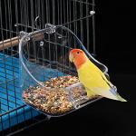 Bird Bath for Canaries, Parrots, and More
