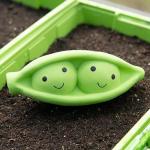 Petface Large Soft Chew Pea Pod Dog Toy