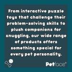 Petface Large Soft Chew Pea Pod Dog Toy