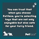 Petface Large Soft Chew Pea Pod Dog Toy