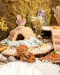 Aspen Bedding for Small Pets - 36L