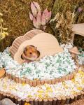 Aspen Bedding for Small Pets - 36L