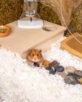 Aspen Bedding for Small Pets - 36L