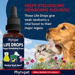 Phytopet Life Drops for Energy and Immune Support