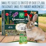 Gourmet Hay Blend for Small Pets and Treats