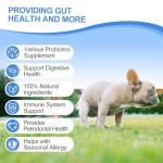 Dog Probiotics Chews for Gut Health & Immunity