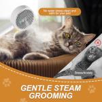 4-in-1 Steam Brush for Cat Grooming
