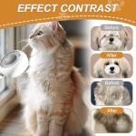4-in-1 Steam Brush for Cat Grooming