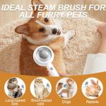 4-in-1 Steam Brush for Cat Grooming