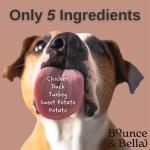 Grain Free Dog Treats - Healthy Training Snacks