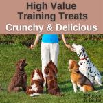 Grain Free Dog Treats - Healthy Training Snacks