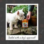 Grain-Free Chicken Dog Training Treats 50g