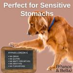 Grain Free Dog Treats - Healthy Training Snacks