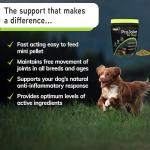 Lillidale ProJoint - Dog Joint Health Supplement
