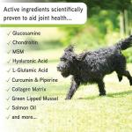 Lillidale ProJoint - Dog Joint Health Supplement