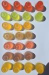 Fruit Cups Jelly Treats for All Parrots