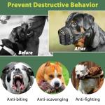Mayerzon Lightweight Basket Muzzle for Large Dogs