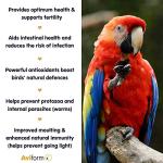 Aviform AVIGOLD ADVANCE Bird Tonic - 500ml