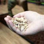 Natural Beech Chips for Reptile Habitat Bedding